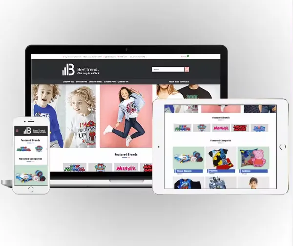 Website Designing and Development, Corporate Web Site Solution