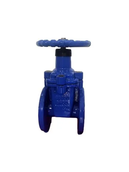 Resilient Gate Valve Cast Iron Bonnet & Bronze Wedge Ring Suitable for Fire Protection Systems photo-2