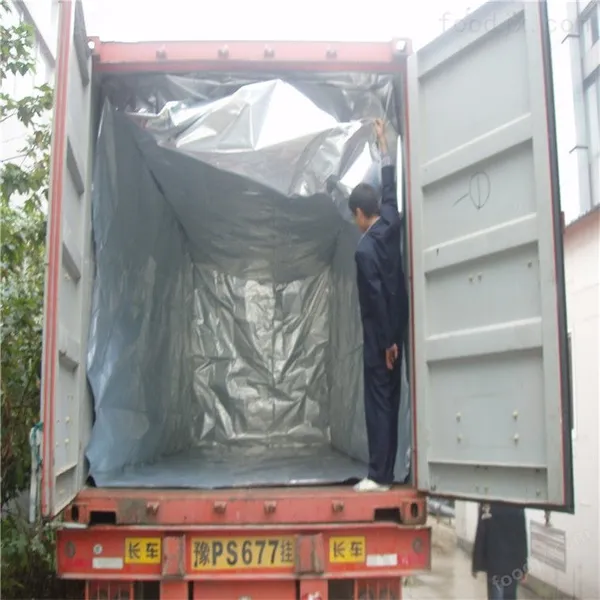 Container Liner Bag With Technical Support and Custom Printing Options photo-1