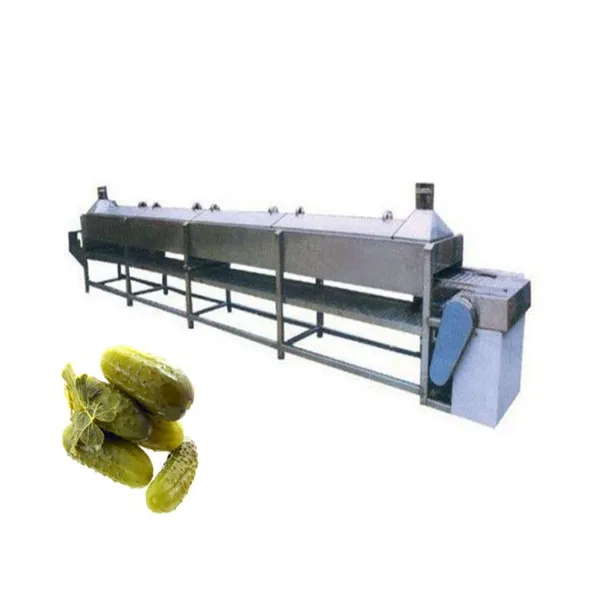 Complete Canned Mushroom Production Line photo-5