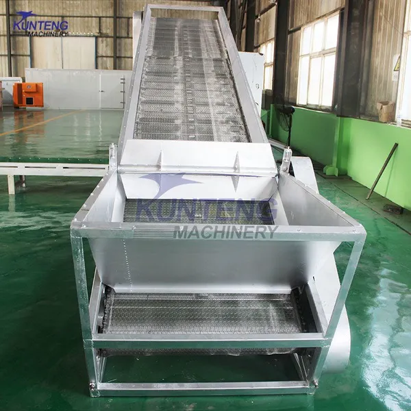 Continuous Small Shrimp Dryer Machine SeaFood Drying Machine Dry Fish Processing Machinery EPC photo-3