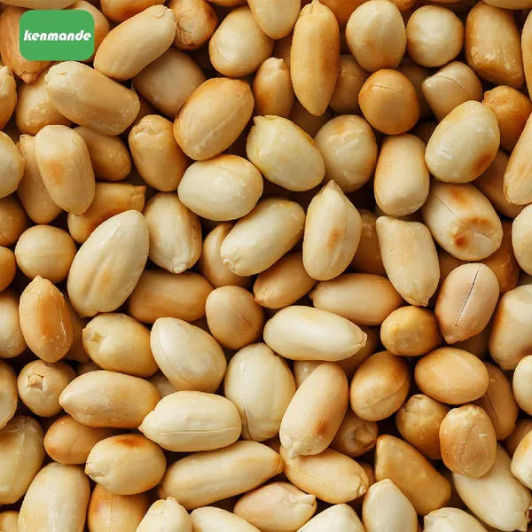 Commercial Crispy Roasted Texture Round Salted Roasted Peanuts 51/61 for Retail Packing