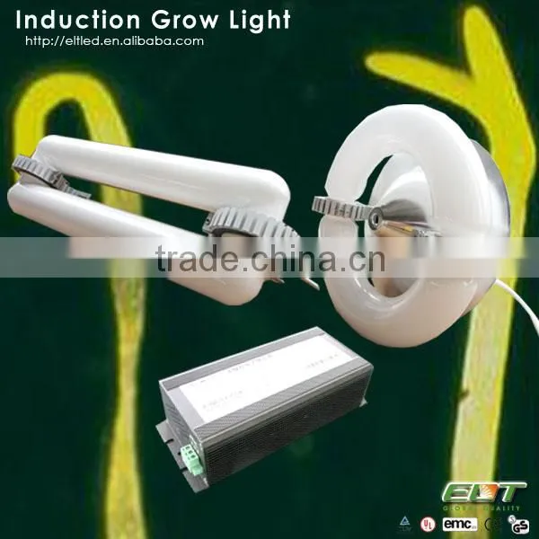 Whole Induction Grow Light and Hydroponic Grow Lights Ballast