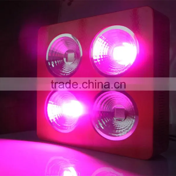 200-1200W Led Grow Light Full Spectrum for Plant, Cob Full Spectrum Led Grow Light Indoor Green House Use photo-4