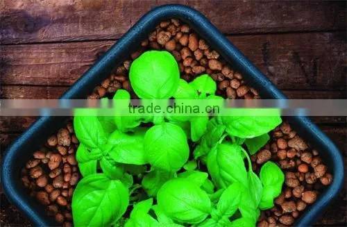 Wholesale Hydroponics 1,2,3,5,10,15,20,25 Gallon Plant Grow Bags/Smart Container Gal Bags photo-5