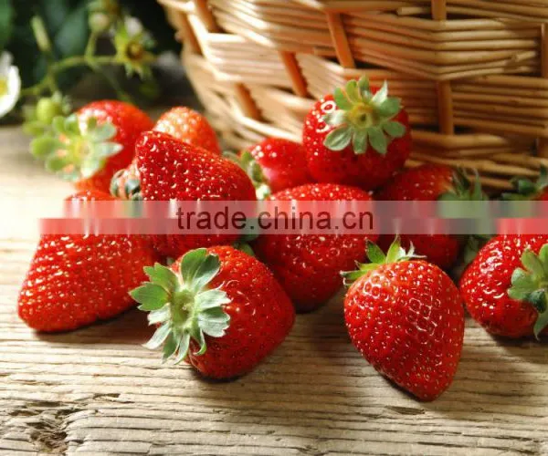 500 ml Liquid Hand Soap photo-2