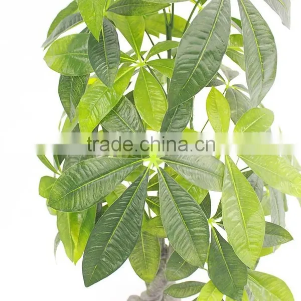 China Hotsale Evergreen Fake Money Tree Artificial Pachira photo-3
