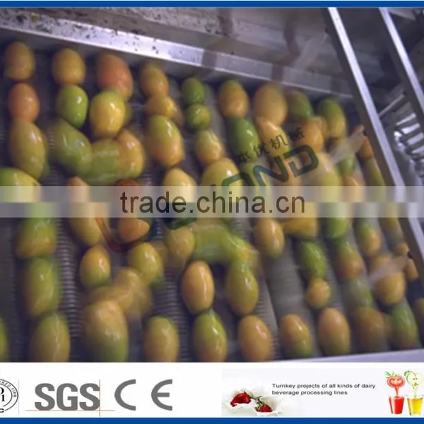 Complete Set of Mango Juice Production Line photo-2