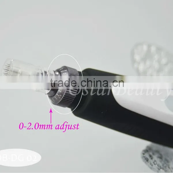 Derma Needle Pen 12 Needles Titanium photo-2