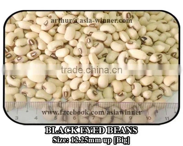 Cowpeas [Big] photo-2