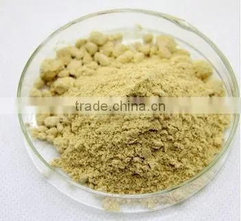 Best-quality Natural and Nutritional Food Supplement Black Walnut Fruit Powder Juglans Nigra Flour photo-2