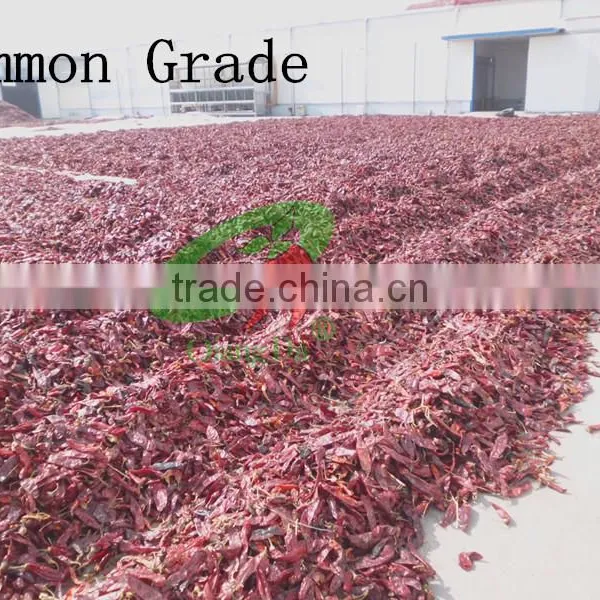 New Crop Sweet Paprika Smoked Paprika photo-2