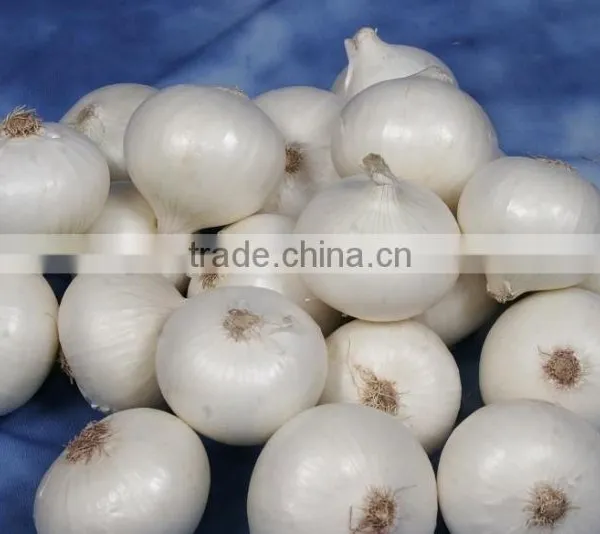 FX-139 Low Damage Rate Commercial Fresh Garlic Separating Machine /Garlic Dividing Machine / Garlic Separator photo-4