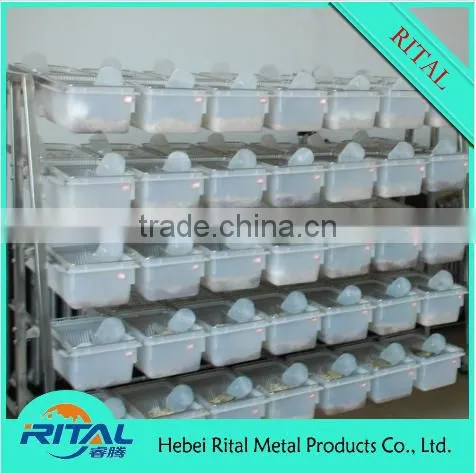 Mouse Group Breeding Cages photo-4