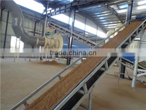 1000 kg Energy Saving Coco Peat Dryer/coir Fibre Rotary Dryer Special for Indonesia,Malaysia and the Philippines Coconut Shell photo-3
