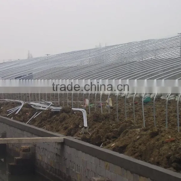 Galvanized Steel Pipe for Greenhouse/frame Steel Pipe photo-3