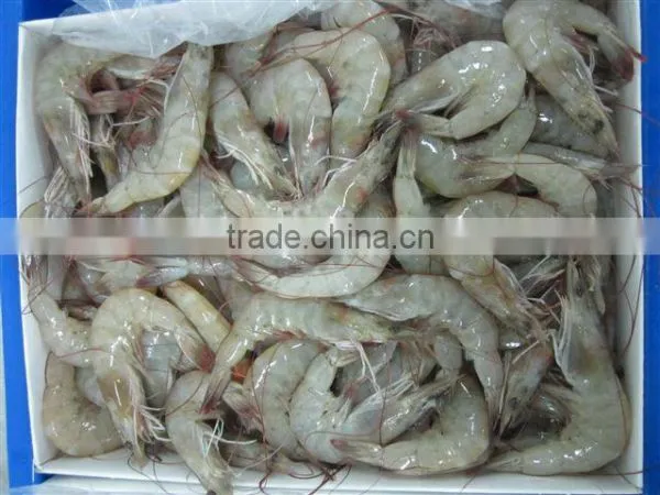 Vannamei Shrimps photo-2