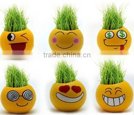 2017 New Style Emoji Grass Doll photo-4