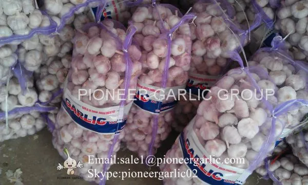 5.5cm Normal White Garlic Loose Packing In 10kg Mesh Bag