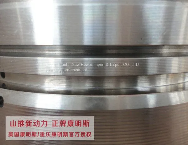 High Quality Cummins 6bt Piston 3926631 From China Supplier photo-5