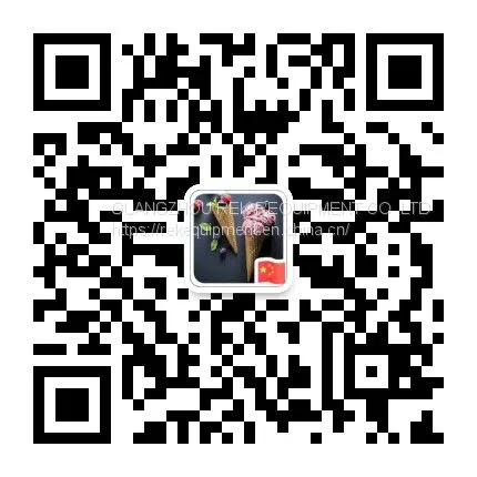 Ice Cream Mold 24 Wides Whatapp/wechat 008613824555378 photo-2