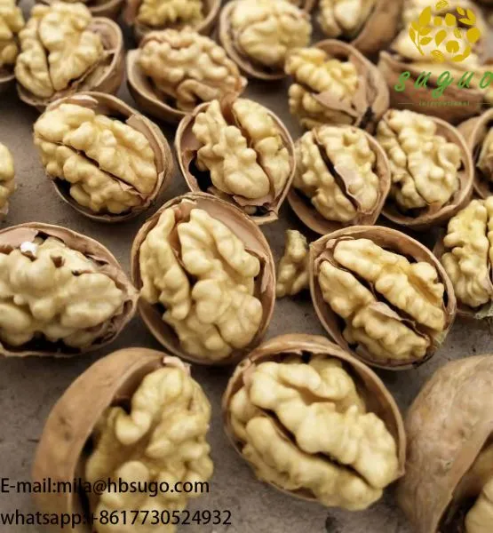 2020 The Best All Type New Crop Walnut Inshell