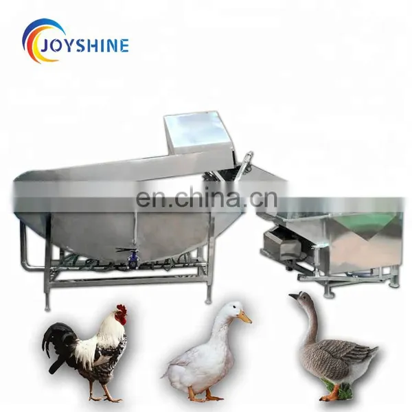 Chicken Poultry Plucker and Scalder Chicken Plucking Fingers Machine for Sale From China Supplier photo-2