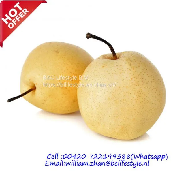 Nashi Pears