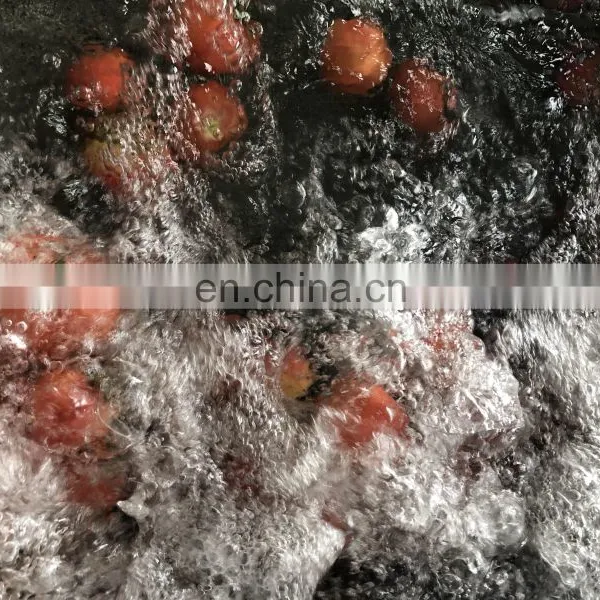 TCA Longevity Fruit and Vegetable Washing Machine Purifier photo-4