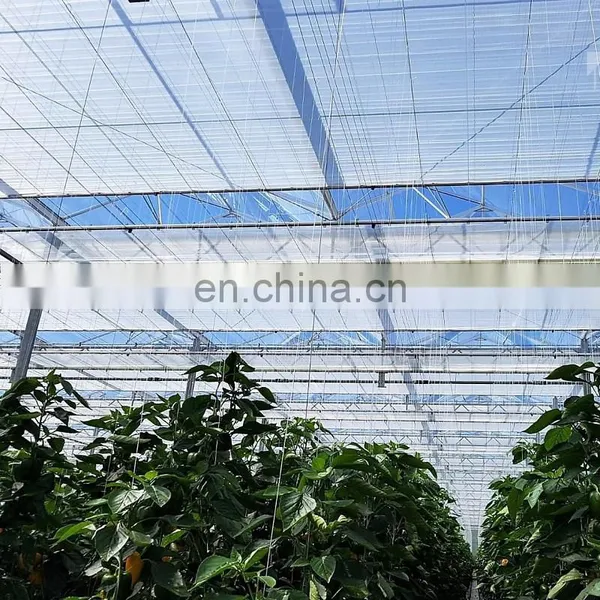 Heat Preservation Aluminum Foil Inner Sunshade Net for Greenhouse photo-3