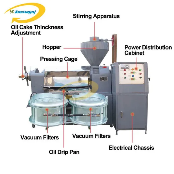 Cold Sunflower Oil Extractor/Machine for Making Cooking Oil Press With Oil Filter/Avocado Oil Processing Machine photo-4