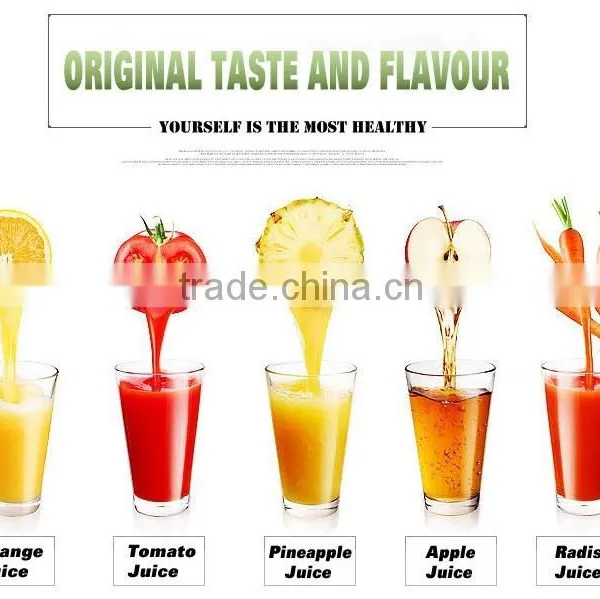 Good Quality Hand Blender and Smoothie Maker Work Top Blender As Seen As on TV Juicer Blender Quality Choice photo-6