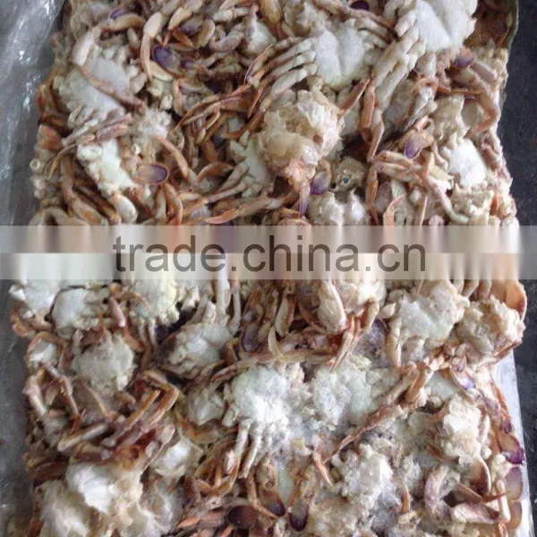 Frozen Sand Crab for Canning ( Ovalipes Punctatus) photo-2