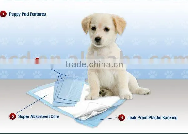 Pet Puppy Trainning Pad