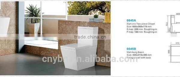 China Supplier Tanitary Tare Ceramic Two Piece Toilet photo-5