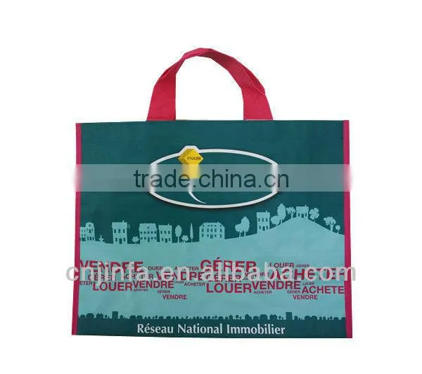 High Quality PP Woven Shooper/shopping Bag/reusable Bag photo-2