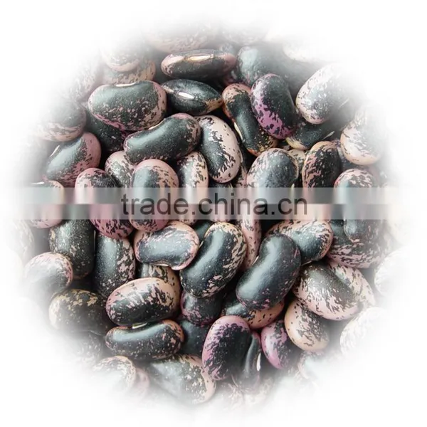 Black Bean