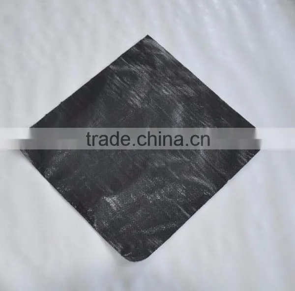 PP Anti Grass Cloth