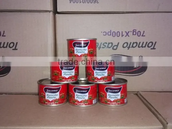OEM Label Tinned Tomato Paste 18/20 Brix photo-4