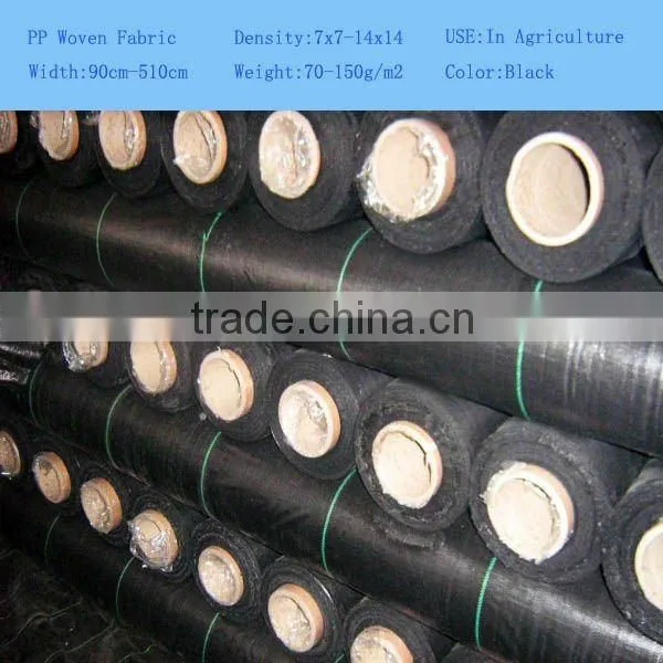 PP WOVEN FABRIC