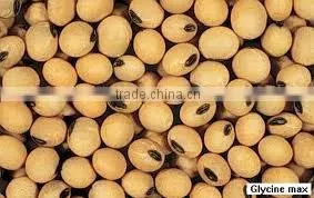 Food Grade Soy Bean Oil photo-4