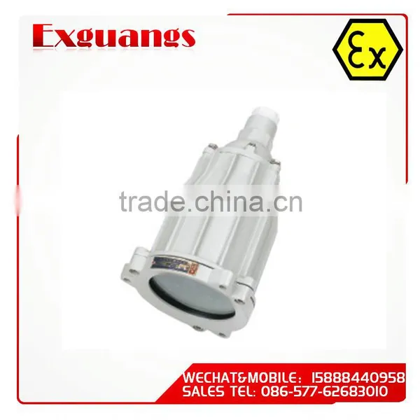 BAK51-Explosion proof inspection hole lamp