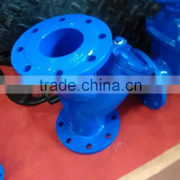 Ductile Iron Y Strainer Filter From y Strainer Manufacturer photo-3