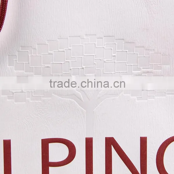 2015 New Fine Custome Logo Printed Shopping Bag ,gift Bag,paper Bag With Handle for Snowsuit/winter Clothes photo-5