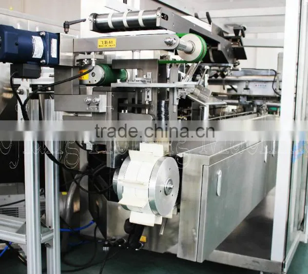 Automatic Cartoning Machine (XWZ-120B ) photo-2