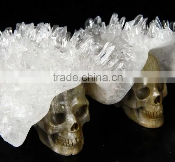 Western New Design Crystal Skull Model for Sale photo-4