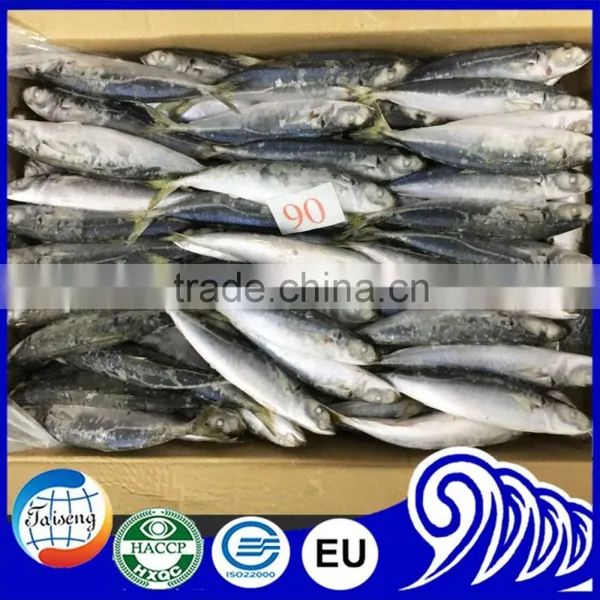 New Arrival Good Quality Frozen Horse Mackerel Fish photo-5