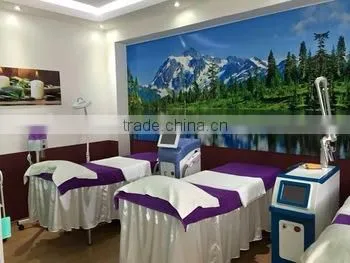 Retailer Wanted CE Approved Q Switch Brown Age Spots Removal Nd Yag Laser Machine For Tattoo Removal 532nm photo-5