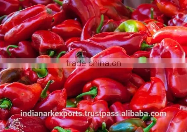 Capsicum Oleoresin 3.3 %, 6.6%, 10%, 30%, 40%, 60% - 80% photo-5