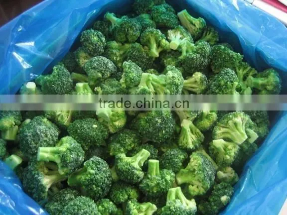 Common freeze broccoli with high quality